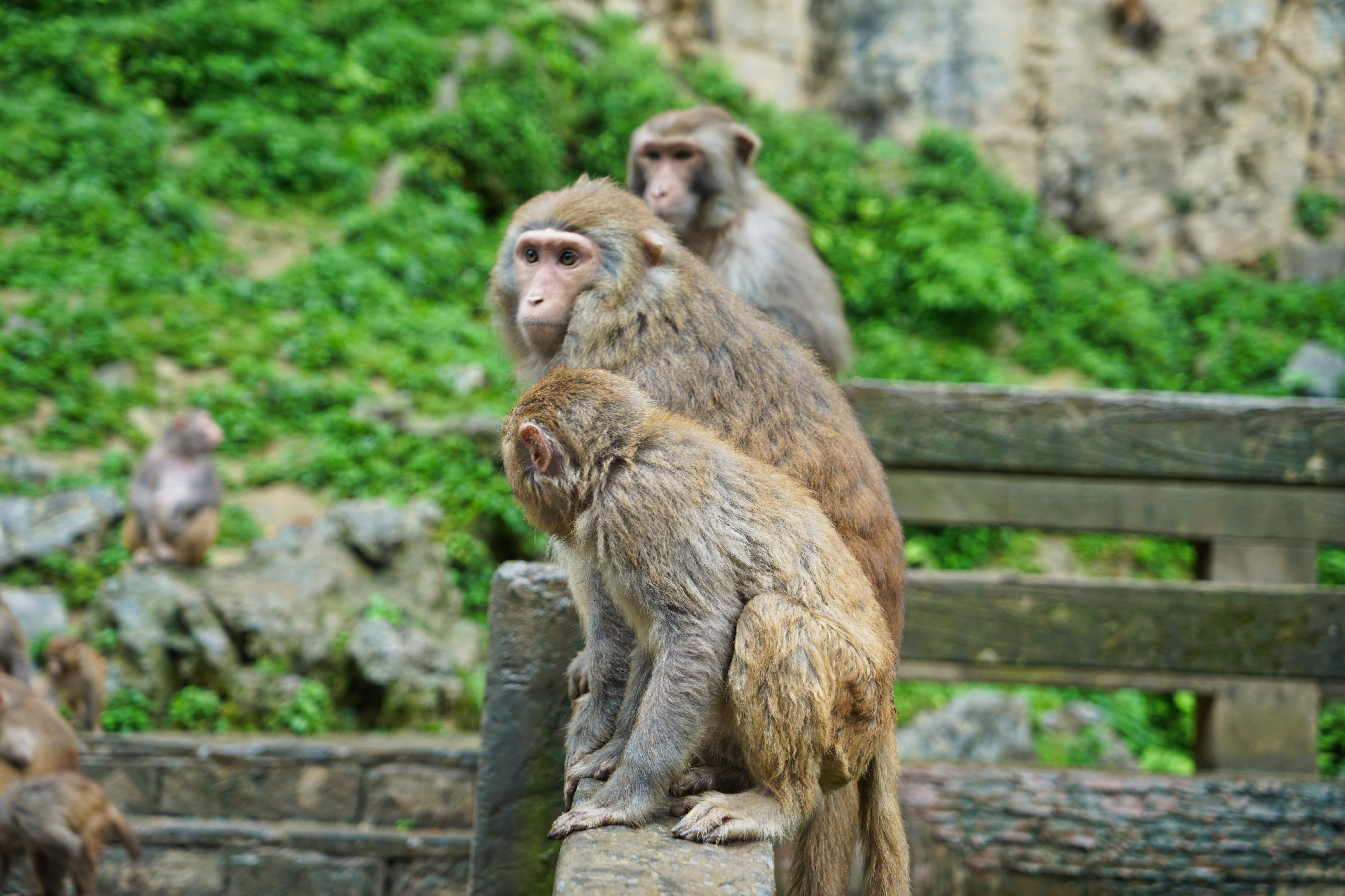 重庆周边山区哪里有温泉,重庆周边泡温泉一日游最佳景点