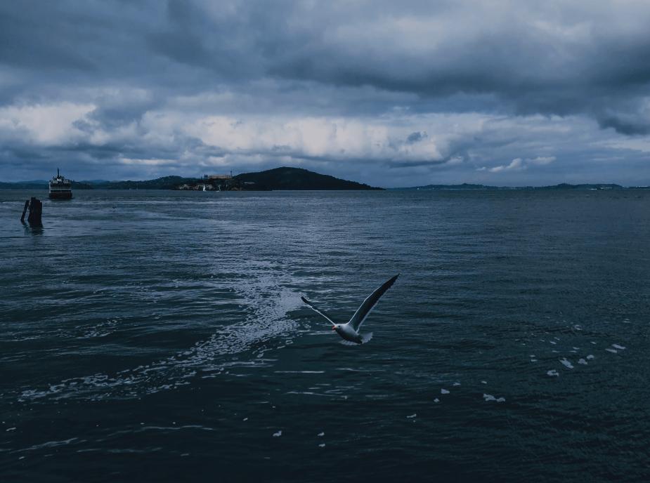 ins风暗黑小众照片,暗黑风ins图