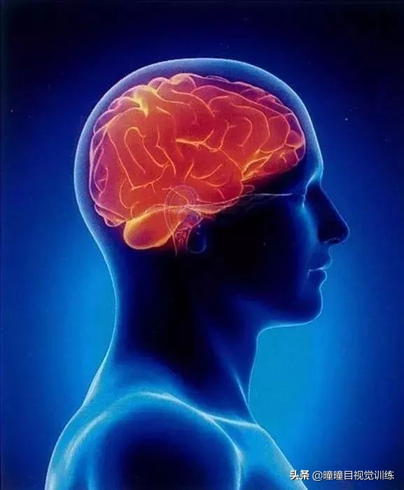 弱视视觉训练,弱视儿童训练系统