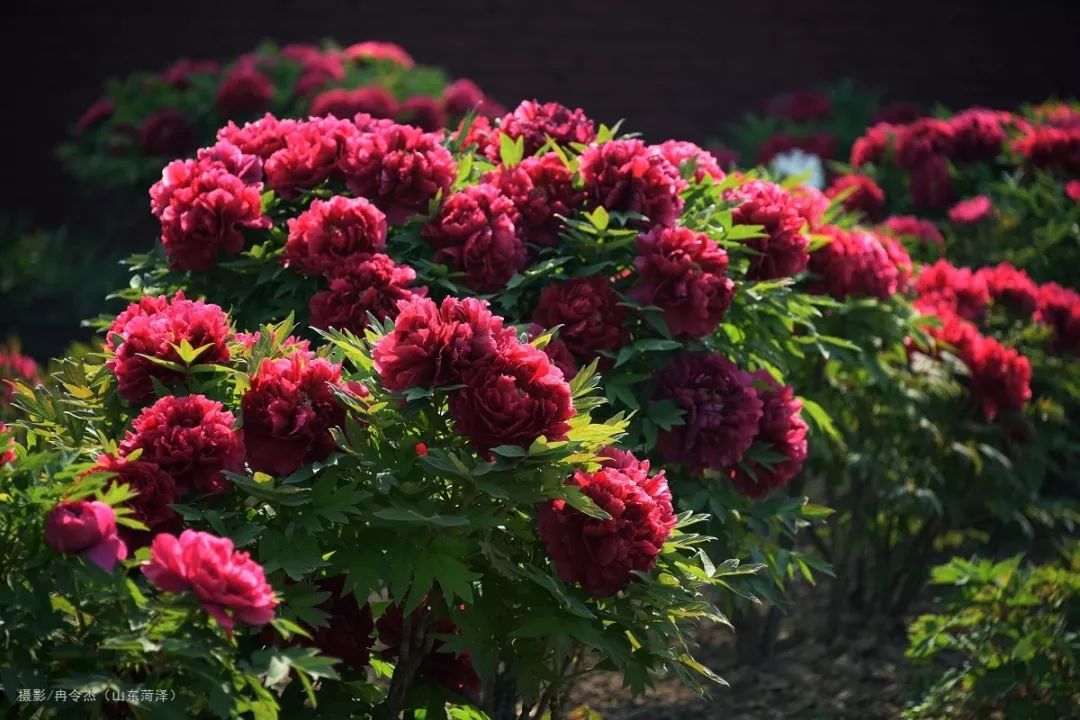 20个值得去的地方,适合一个人旅行去的地方推荐