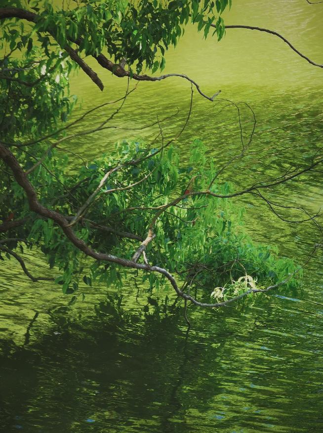 珠海最值得去的古村,珠海最值得去的古村落