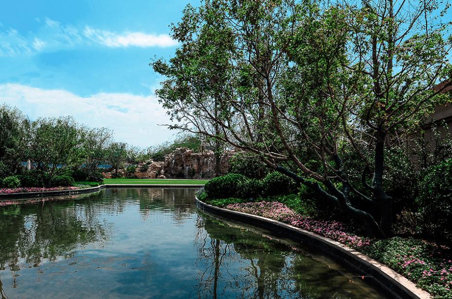 光荣与梦想解读,光荣与梦想的主题思想