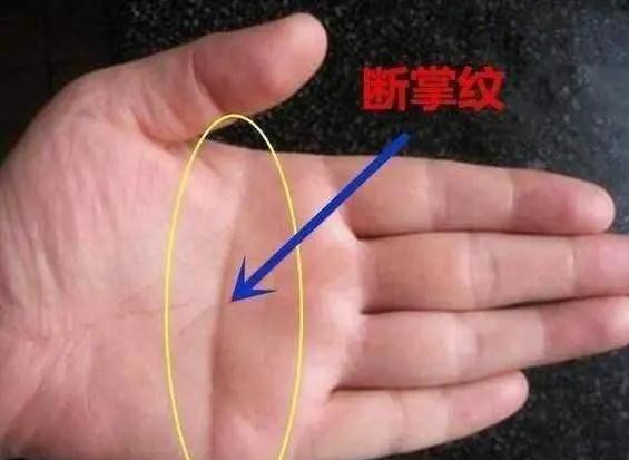 男儿断掌千斤两女人断掌很凄凉,男儿断掌千斤两女人断掌过房梁