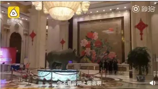 人要会用脑子的才不会上当,认知高的人从来不上当