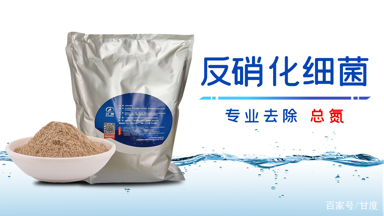 怎么自己培养反硝化菌,没加硝化细菌怎么培菌