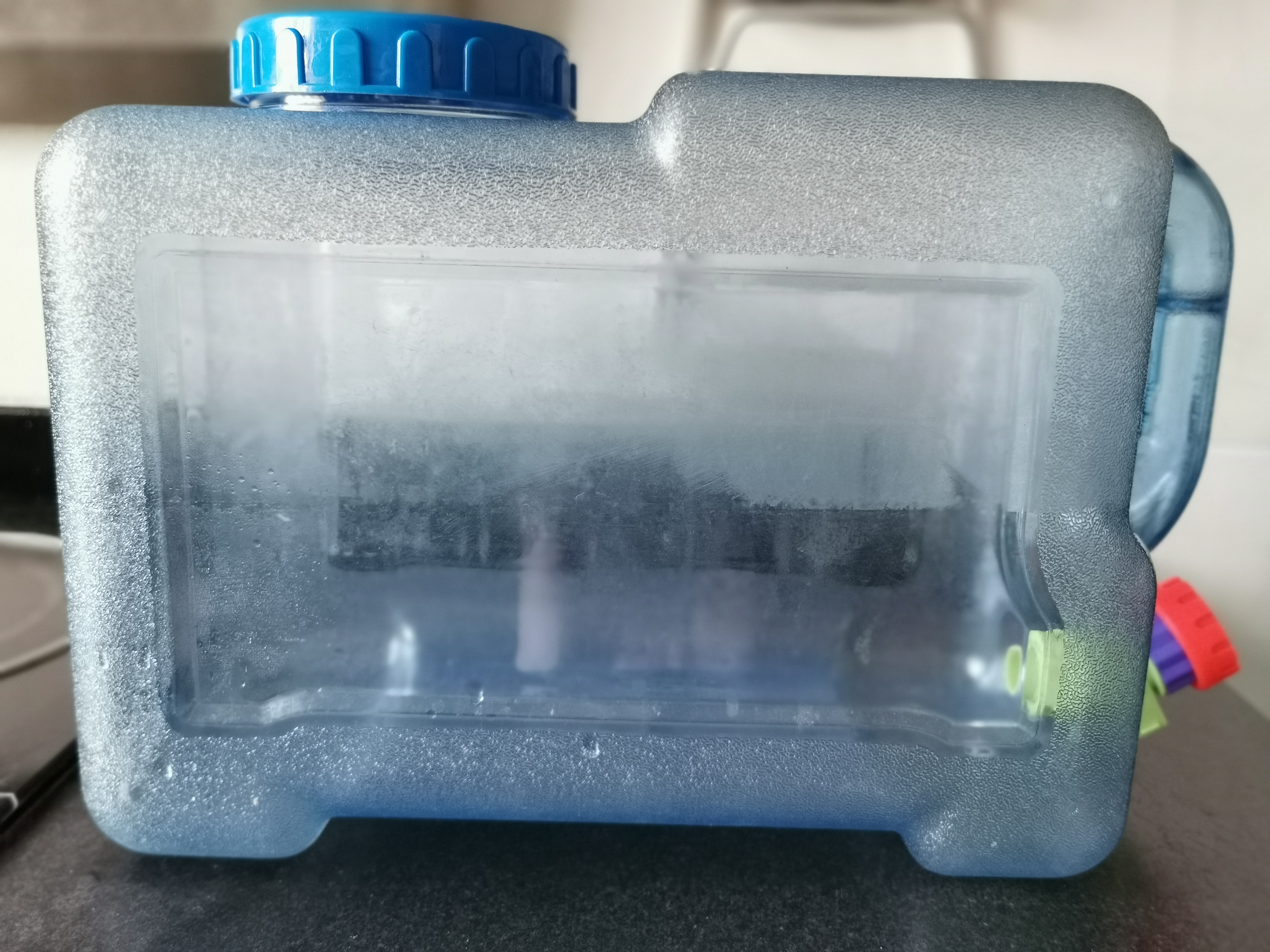 第一次带着狗狗去旅行,带狗狗去高原应该准备什么