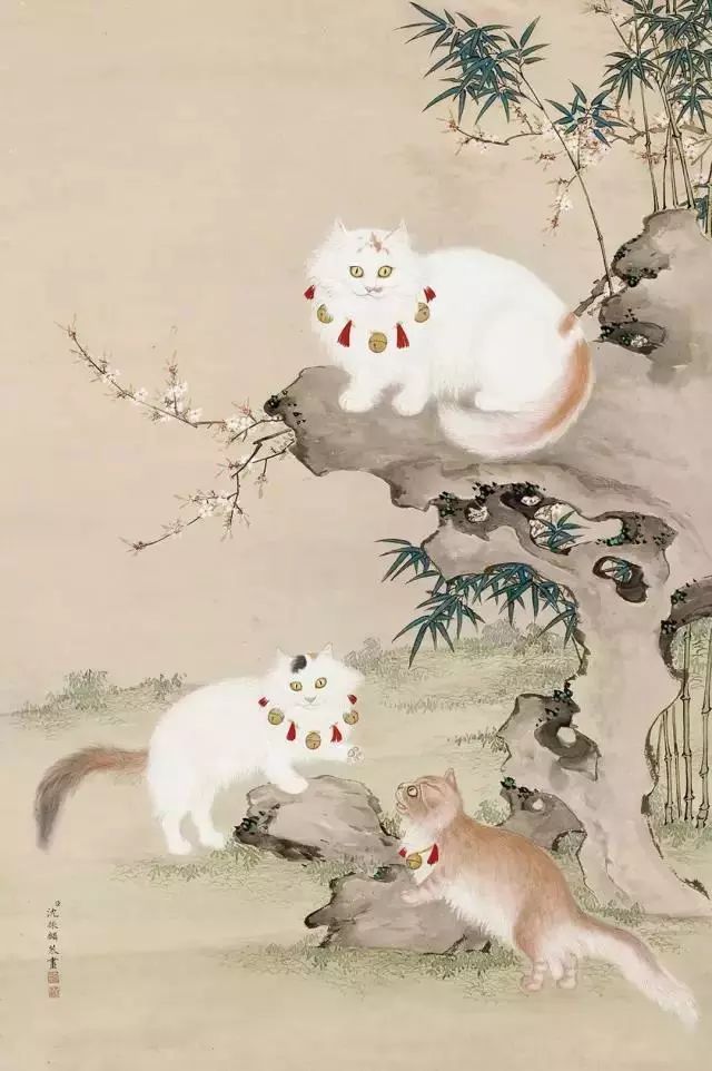 古代人是如何养猫的,古人养猫文化历史