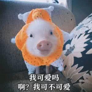 lo圈的美学理念下不断修正、改变自我，让自己配得上这些小裙子