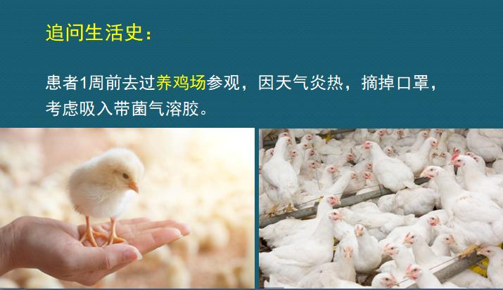 年轻人肺炎出院，花了3万：如果时光倒流，我不去那个养鸡场