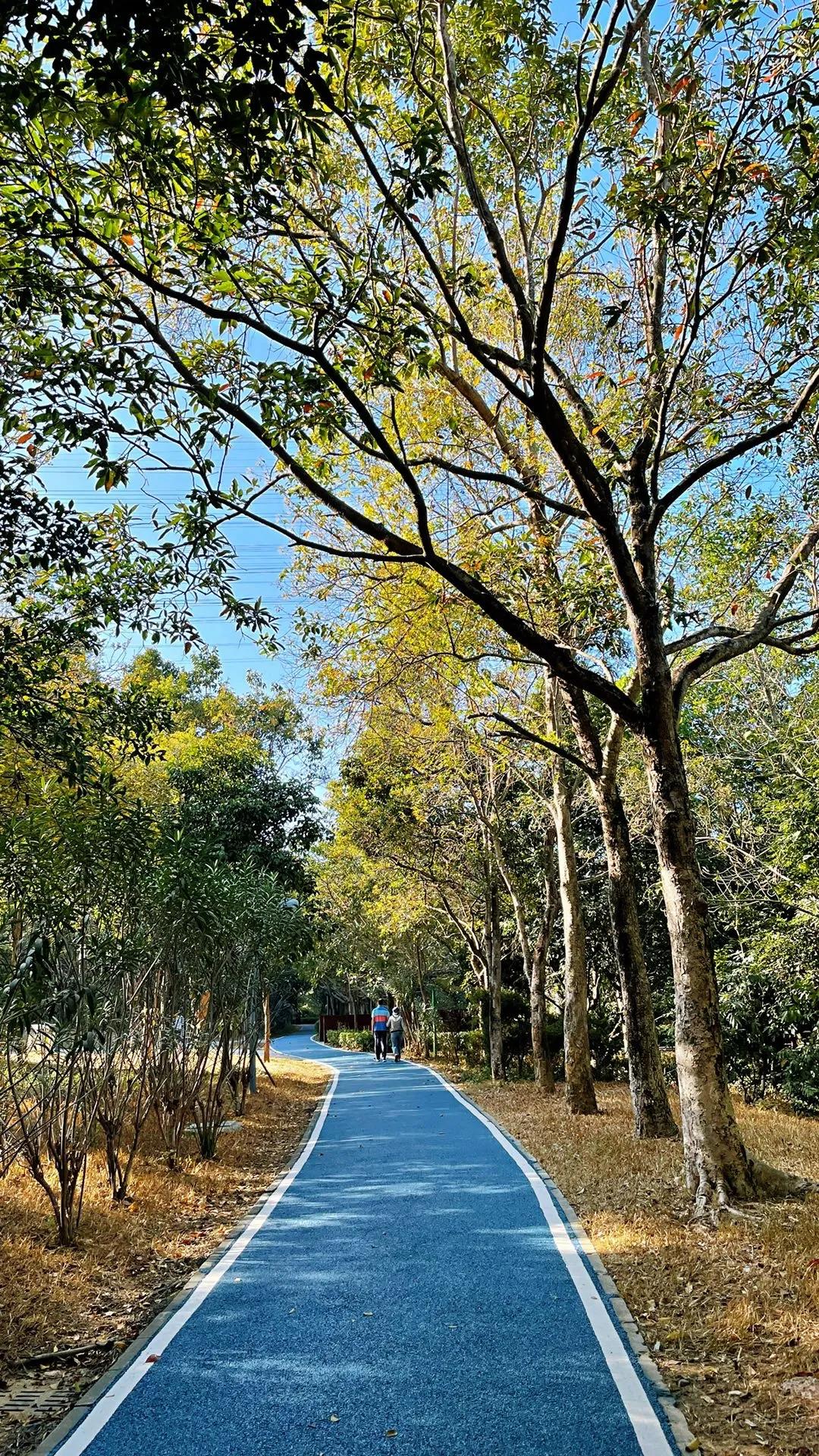 大运绿道跑步路线,大运公园绿道