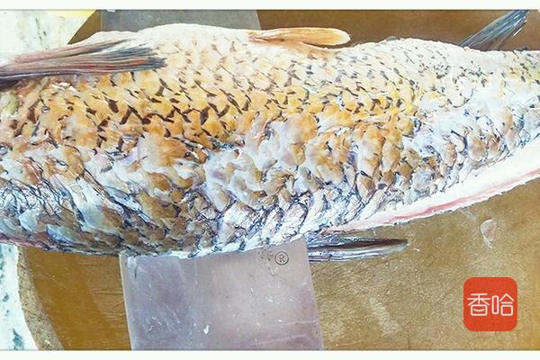 酸菜鱼家常做法小秋,酸菜鱼火锅怎么做好吃又简单清淡