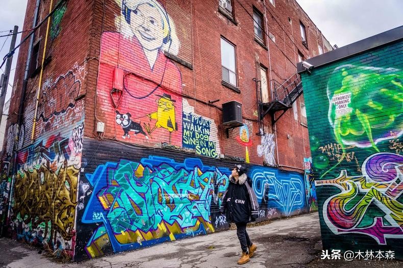 加拿大多伦多生活日记,加拿大多伦多留学生活纪实