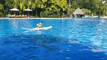 三亚clubmed游记,三亚clubmed度假村攻略