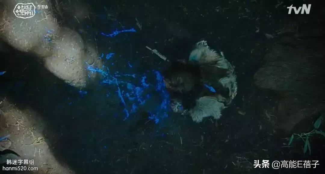 宋仲基最近的新剧,宋仲基2022新剧