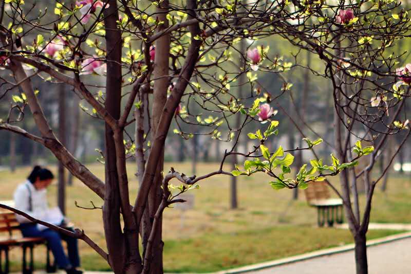 北京石油化工学院2016届就业,北京石油化工学院毕业生有前途吗