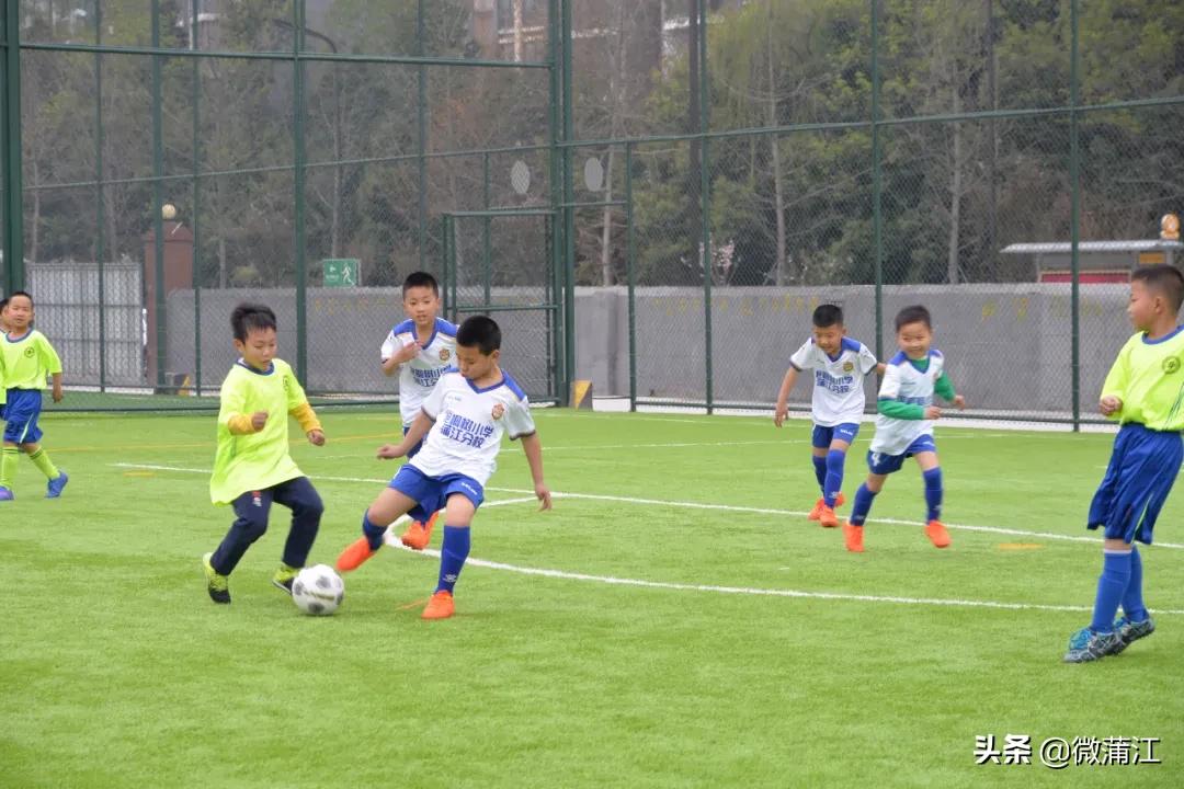 泡桐树小学蒲江分校图片,泡桐树小学蒲江分校怎么样