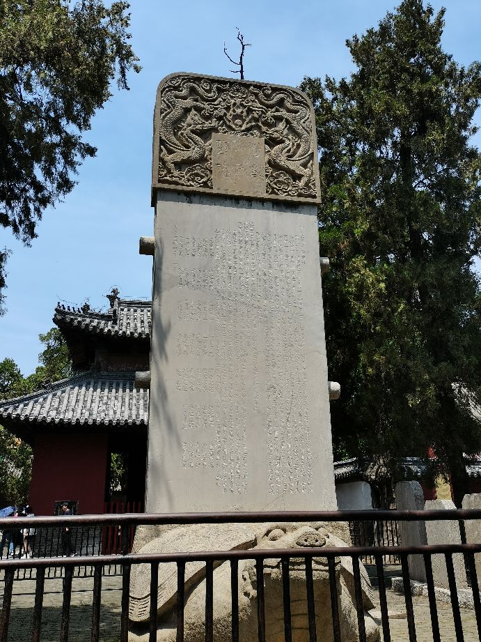 孔府孔庙孔林儿童门票,去孔庙孔府孔林的游记