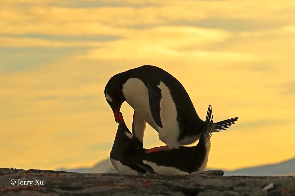 情人节，就该和爱的人*爱做**做的事