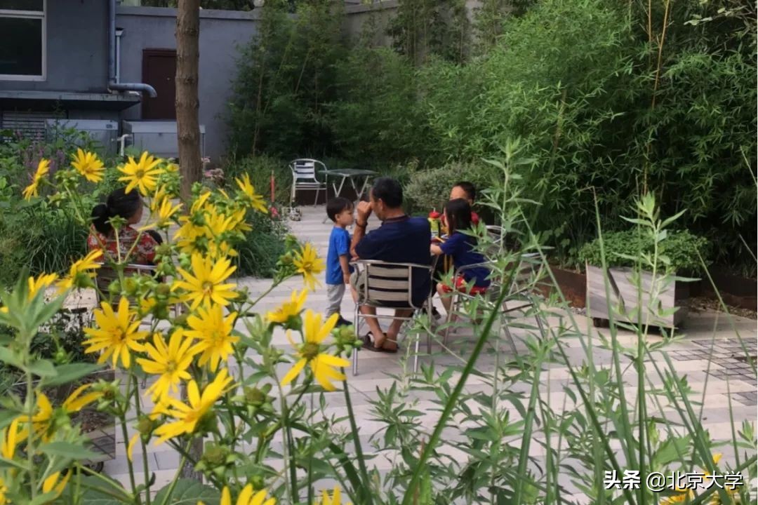 北大学校是怎么建的,感受一下北大校园