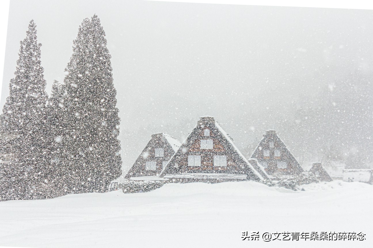 冬季日本的自驾游攻略,冬日游日本名古屋攻略