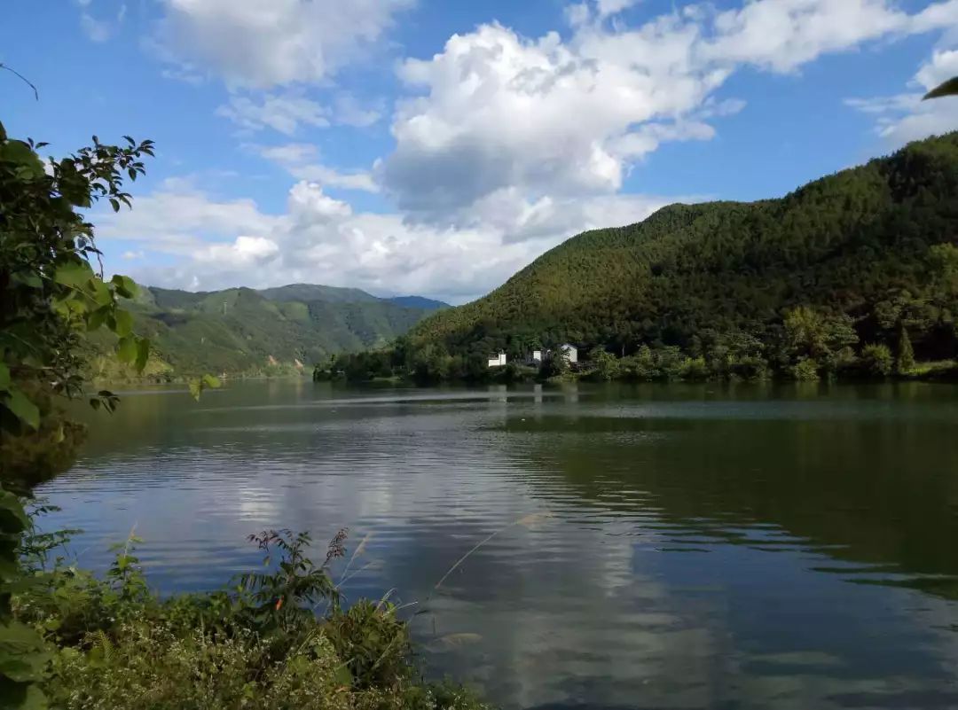 水葫芦为啥消失了,以前常见的水葫芦是否已绝迹