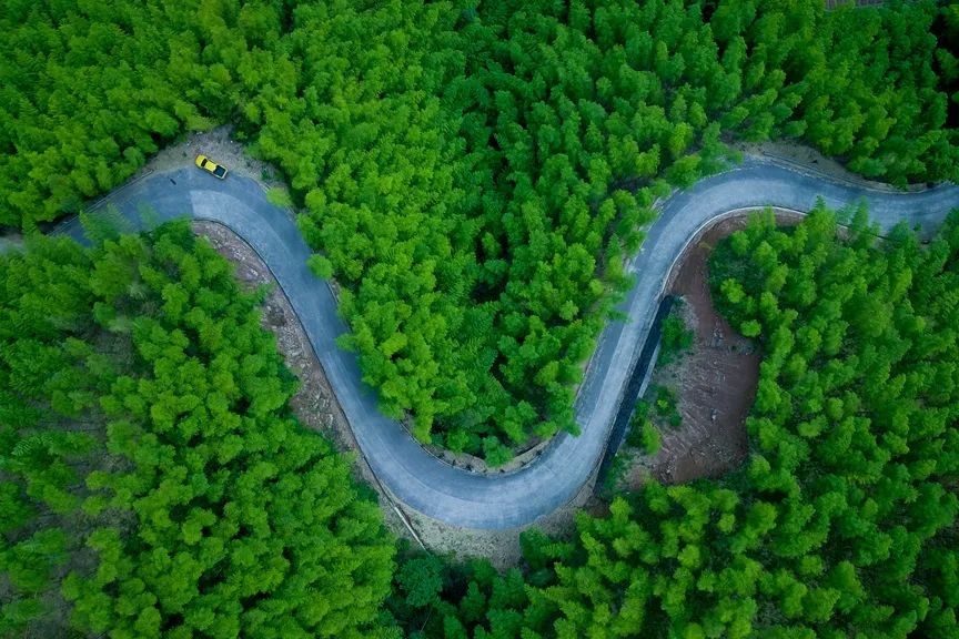 遂昌旅游景点排名前十,浙江省遂昌县经济排名