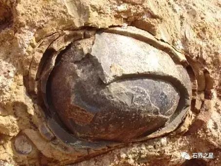 捡到这些石头不要扔,在海边捡到这些石头千万不要丢