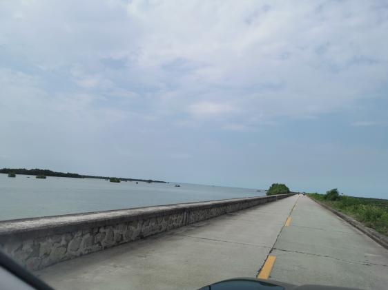 廉江龙营钓鱼视频,湛江市遂溪草潭码头钓鱼视频