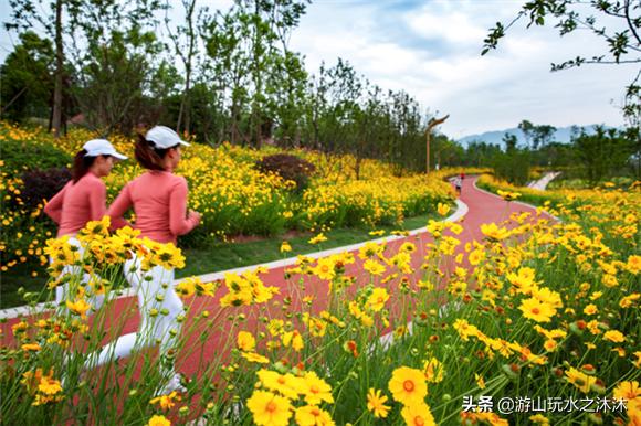 重庆小众景点旅游推荐,重庆南山小众打卡地