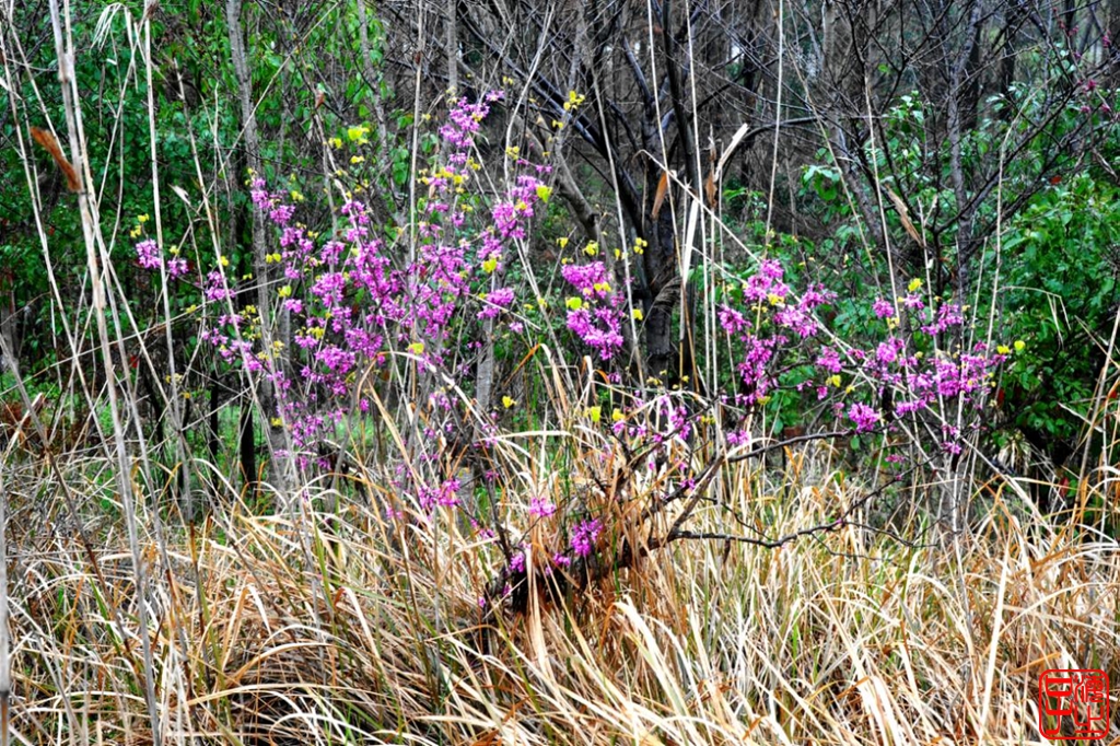 浙江母亲河钱塘江,浙江台州春风