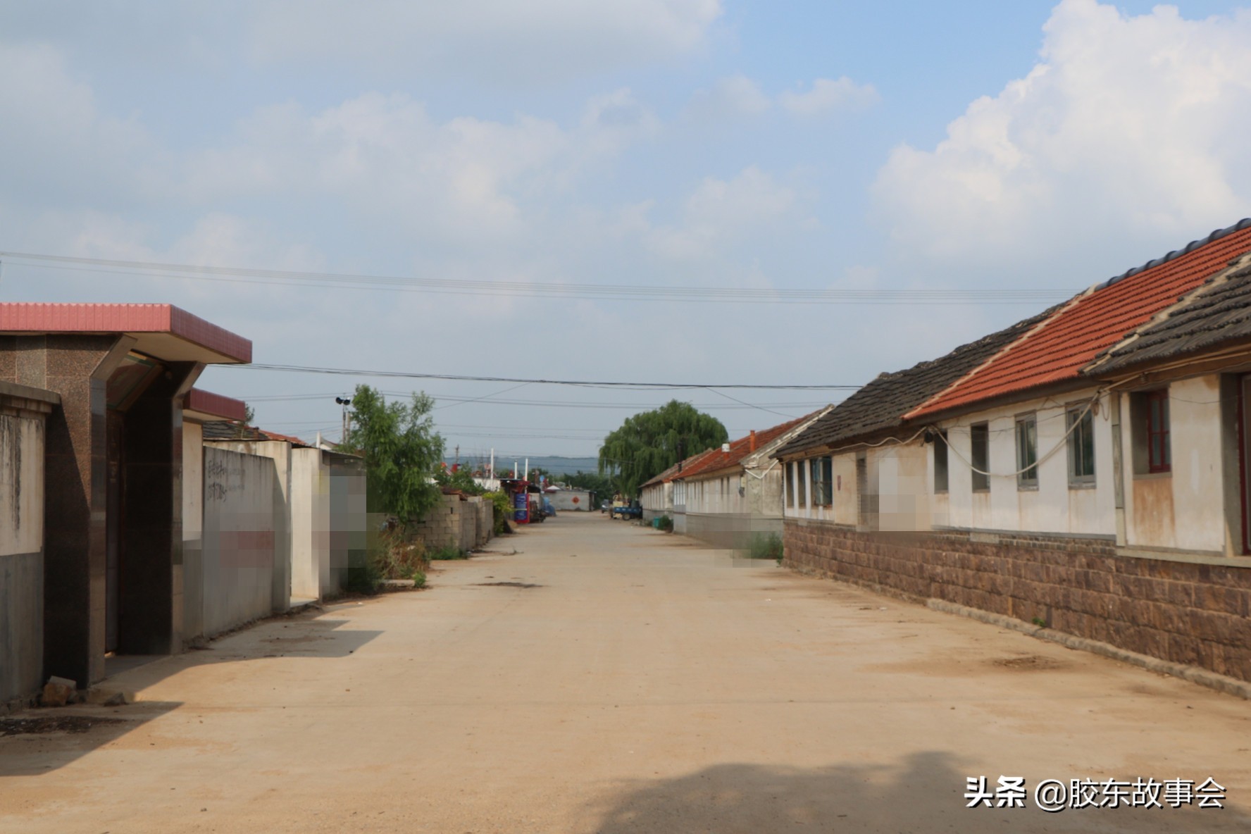 回忆年味回家路,山东年味记忆中的年集