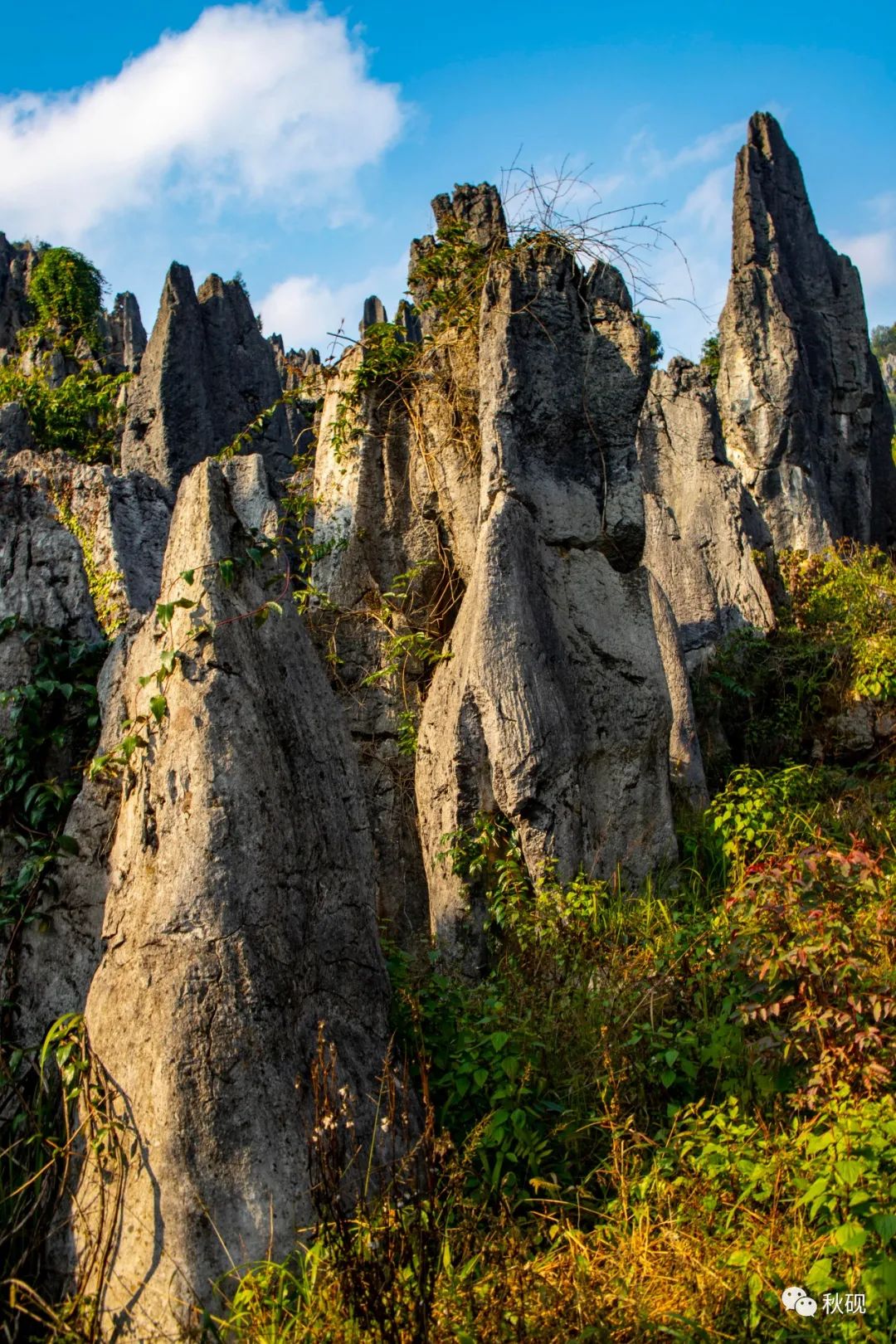 周游西南随记(六)弥蒙的万峰林