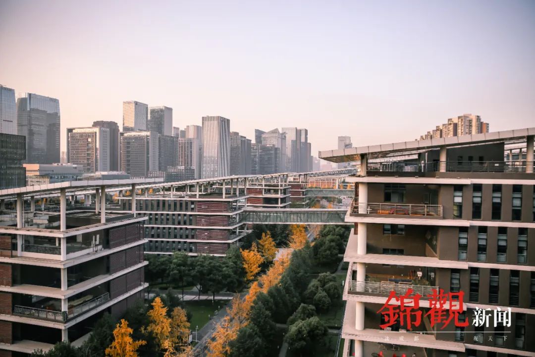 成都超能格斗,成都超能训练营