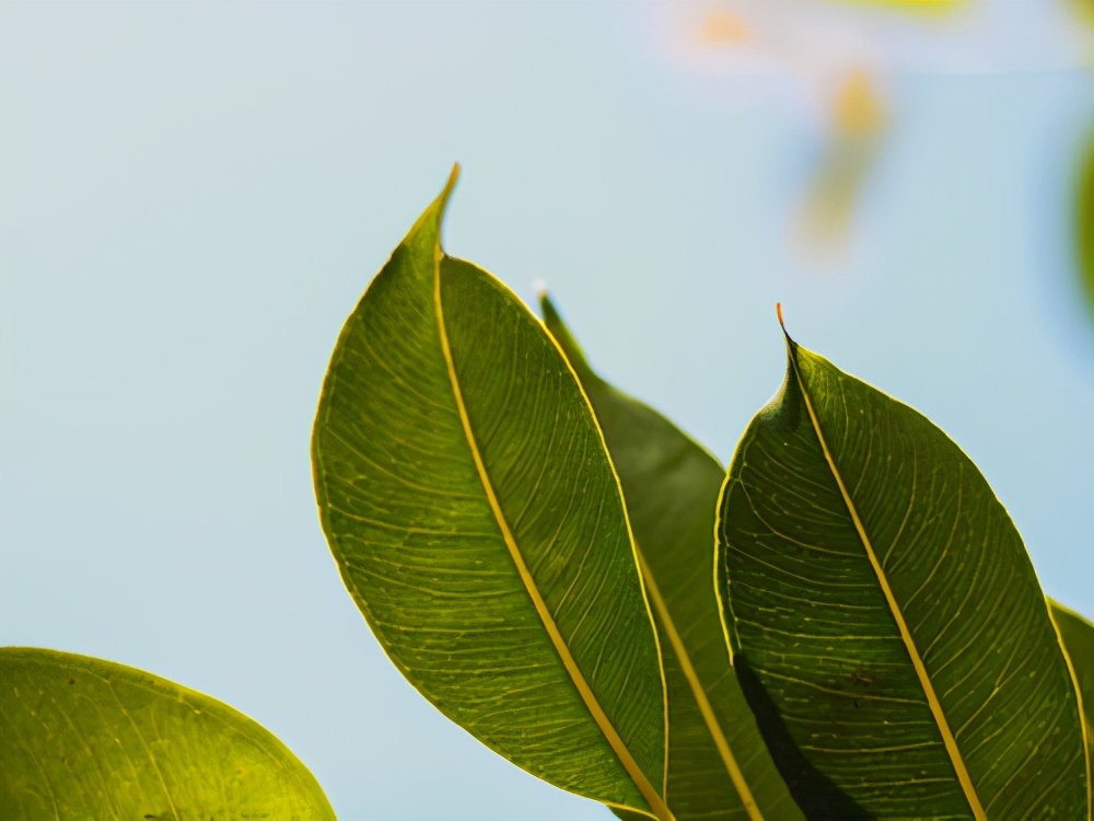 被分手了最好的办法是什么,被分手了遇到更好的应该怎么处理