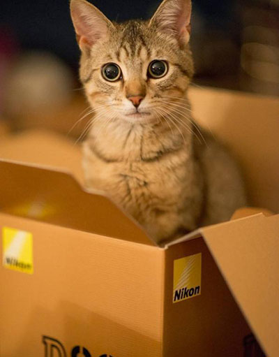 西瓜视频上传抖音后变模糊了呢,原视频清晰为啥上传抖音模糊了