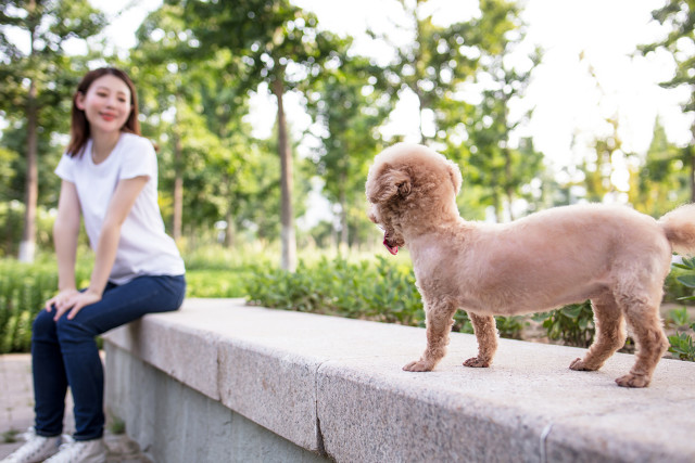 爱情保卫战2021完整版,爱情保卫战2017综艺