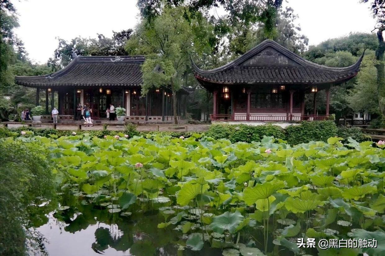 苏州除了拙政园还有哪个园林最好,苏州哪个园林最值得游玩