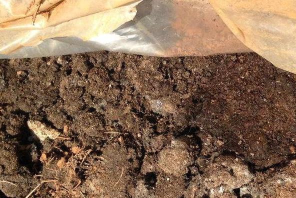 什么是发酵彻底粪肥,粪肥发酵时间过长对肥力有影响吗