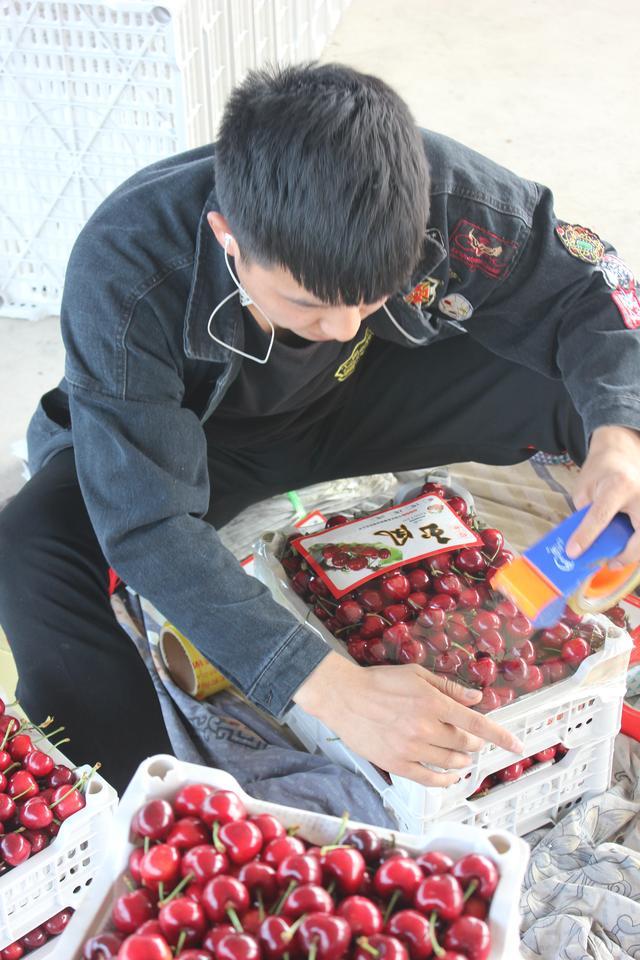 六月流火更流金,七顶山大樱桃开启“嗨购”“乐购”“云购”模式