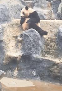 搞笑时刻心情变好,搞笑时刻大家开心就好