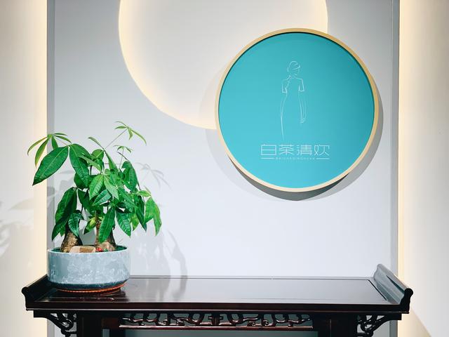 白茶清欢事,白茶清欢离别事