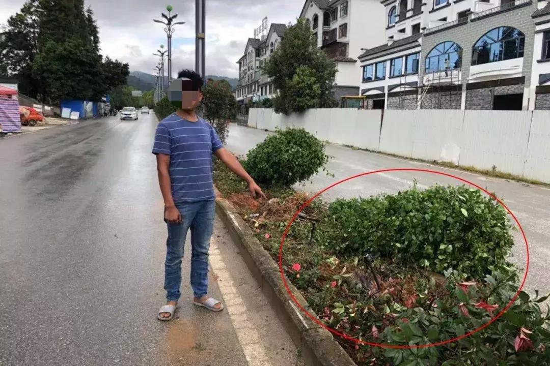 醉驾被取保候审期间再次醉驾,醉驾取保候审期间无证驾驶怎么判