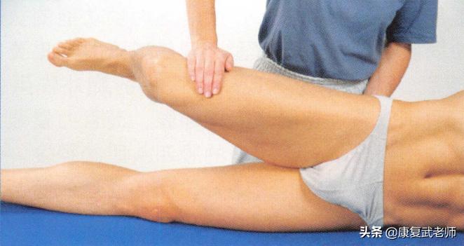 臀部肌群解剖,臀部肌功能解剖