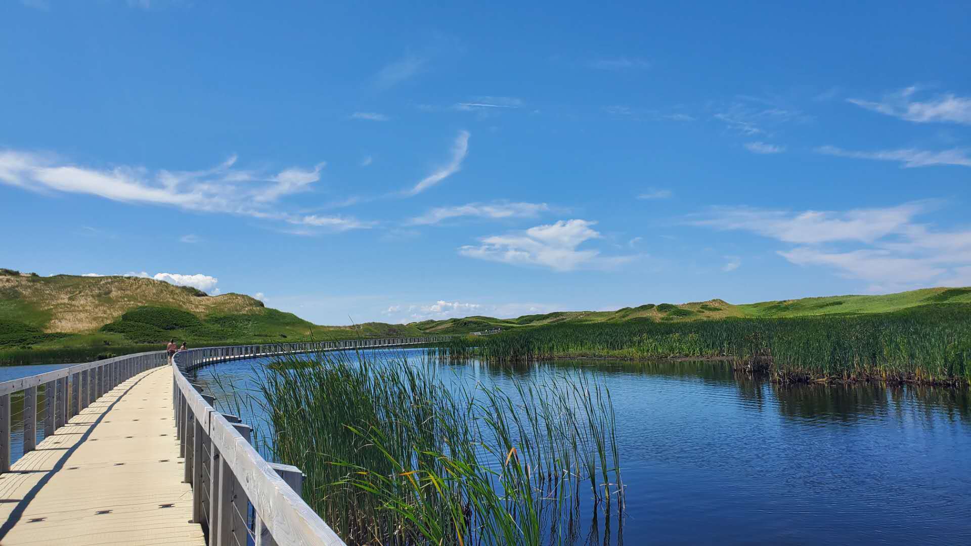 爱德华王子岛旅游,爱德华王子岛避暑之旅