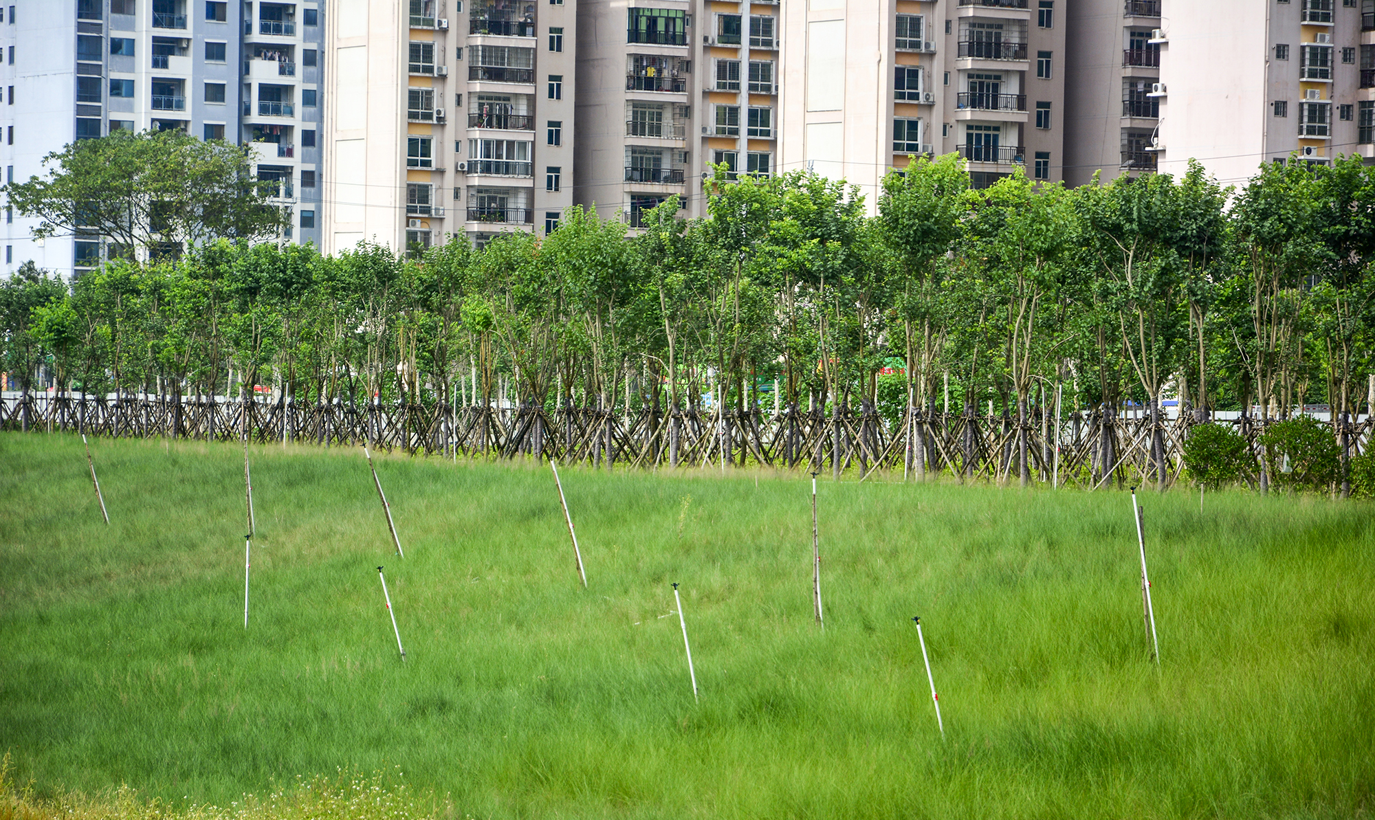 北海新的风景区,北海新建的公园