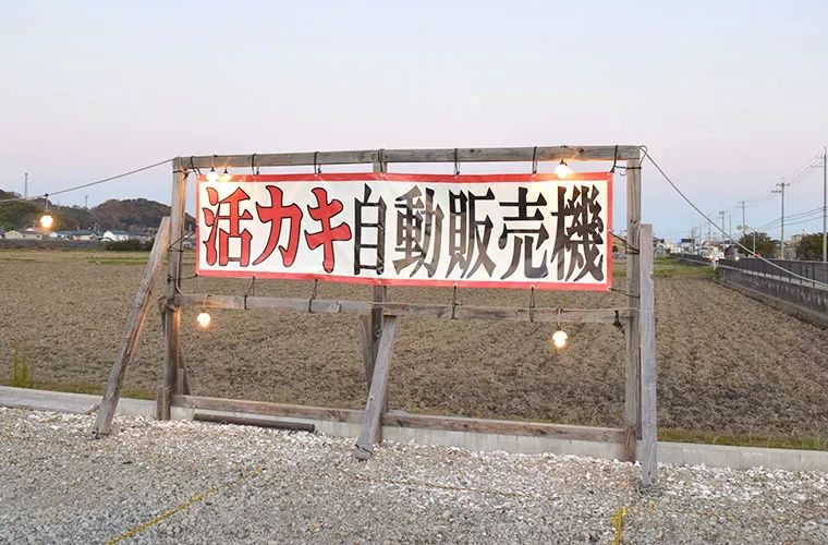 日本那些奇葩的贩卖机,日本自动贩卖机都可以卖什么