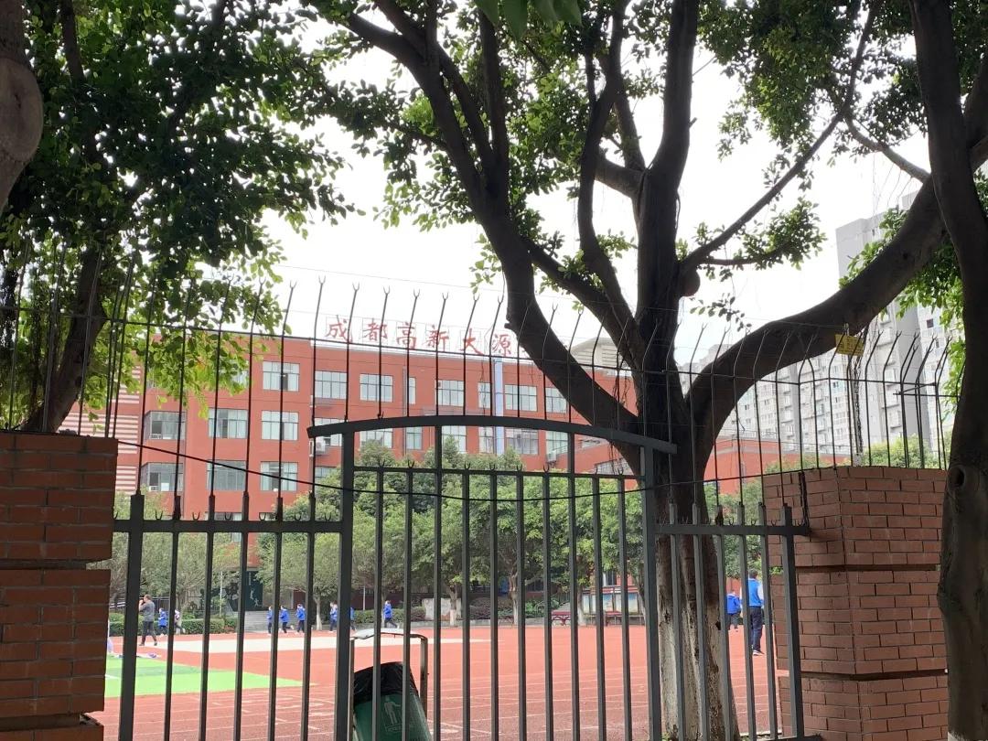 成都高新南区大源西土地拍卖,成都高新区大源天府五街土地拍卖