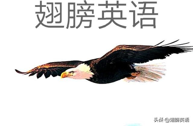 小学英语词汇推荐孩子关注,小学英语词汇量书本推荐