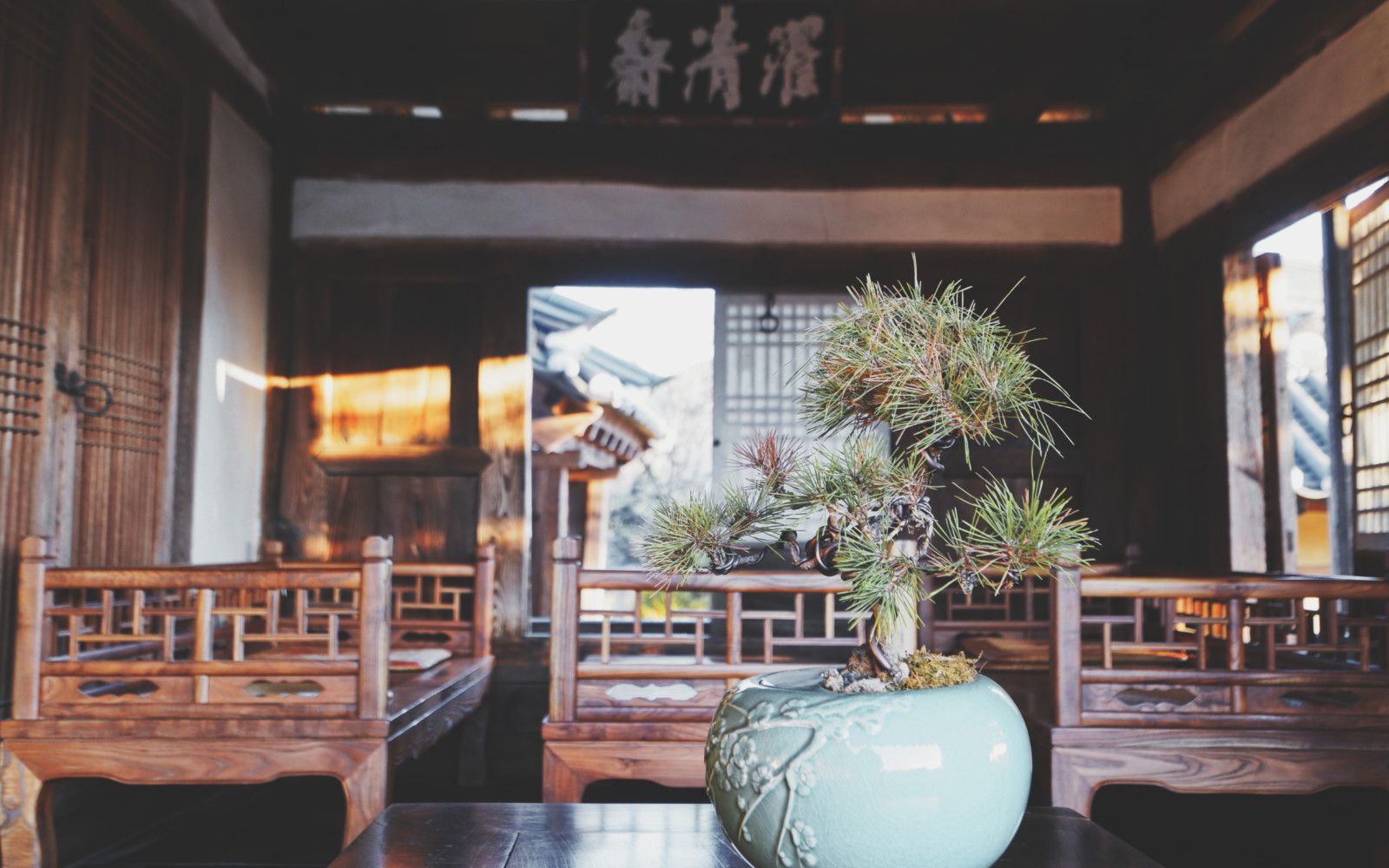 哇，人参随便挖！韩国还能这么玩