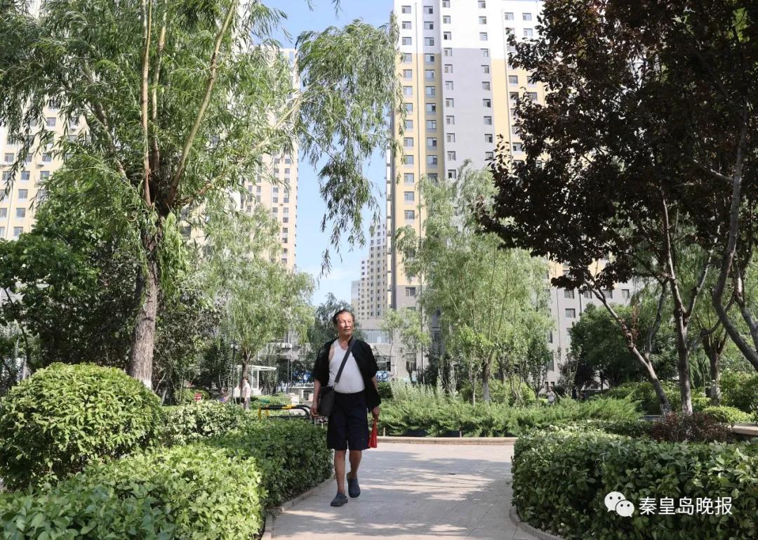 新秦皇岛人系列报道之异地养老者鲍真龙：鸥鸟相伴，乐享闲适生活